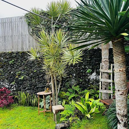 Villa Portugal House à Praia do Norte Extérieur photo