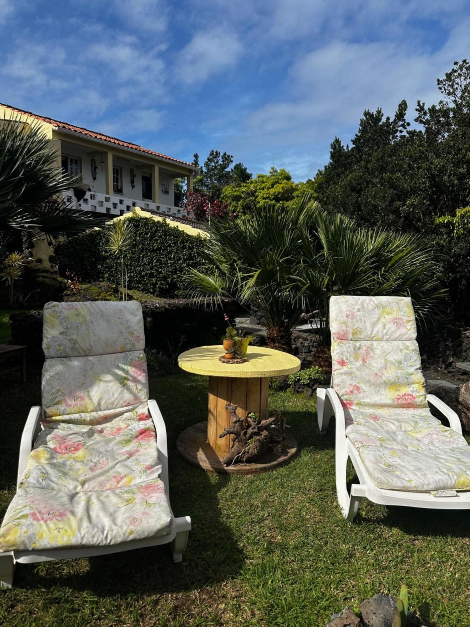 Villa Portugal House à Praia do Norte Extérieur photo