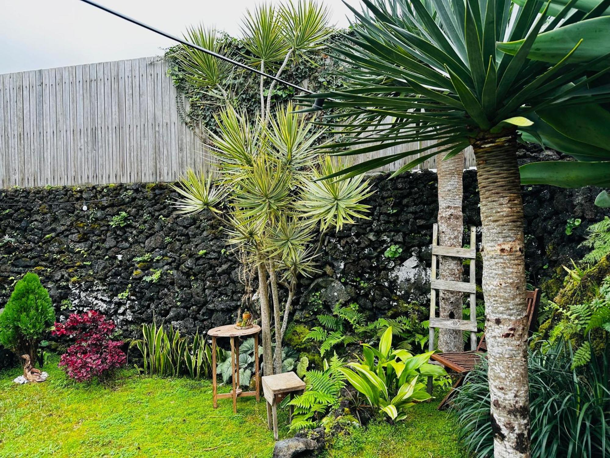 Villa Portugal House à Praia do Norte Extérieur photo