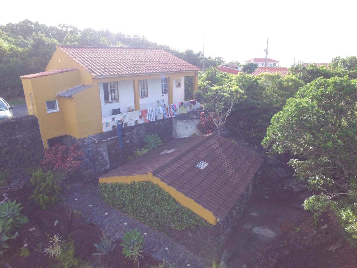 Villa Portugal House à Praia do Norte Extérieur photo